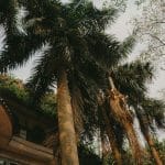 Urban Ecology: Discovering Nature Within Cities