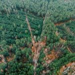 Wilderness Restoration: Travel and Environmental Conservation