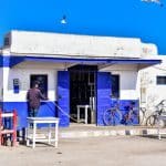 Urban Foraging: Discovering Local Secrets and Hidden Treasures