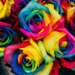 The Psychology of Color: What Your Wardrobe Says About You