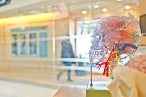 Why Student Mental Health Services Are Expanding