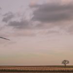 The Hidden Environmental Benefits of Hydrogen-Powered Transportation Systems