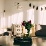 Tiny Home ROI: Zoning Loopholes and Profit Potential