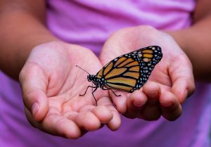 Y2K Revival: Why Butterfly Clips and Juicy Tracksuits Are Back