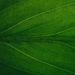 Net-Zero Homes: Tax Breaks Making Green Upgrades Profitable