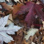 Enhancing Personal Effectiveness Through Mindful Practices