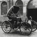 Botanical Journeys: Exploring Global Flora and Ecosystems