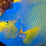 Climate Migration: Coastal Buyers Flocking to Inland Havens