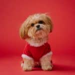 Celebrity Stylists Exposed: The Real Power Behind Red Carpet Looks