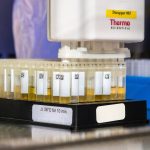 Why Emotional Intelligence Matters More Than Test Scores