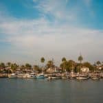 The Dark Side of "Sustainable" Brands: Greenwashing Exposed