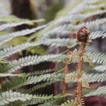 Sun Belt Surge: Why Southern Markets Dominate 2025 Growth