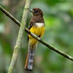 Transforming Individual Potential Through Strategic Networking